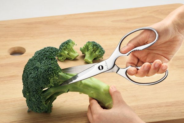 画像2: Blaydor＜ブレイドール＞　オールステンレスキッチンバサミ (2)